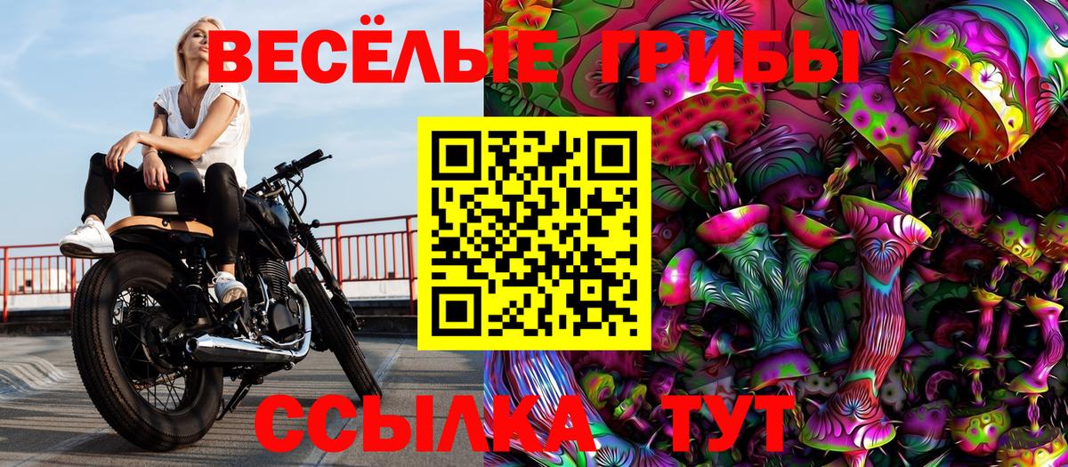 Малгобек  Галлюциногенные грибы Magic Shrooms  Вход с VPN 