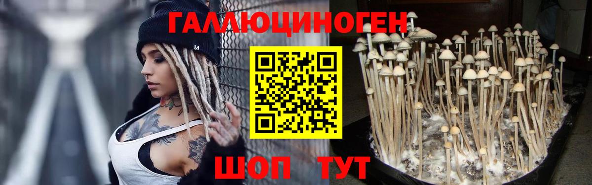 Псилоцибиновые грибы мухоморы Малгобек